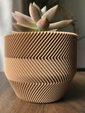 Ribbed Succulent Planter
