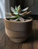 Ribbed Succulent Planter